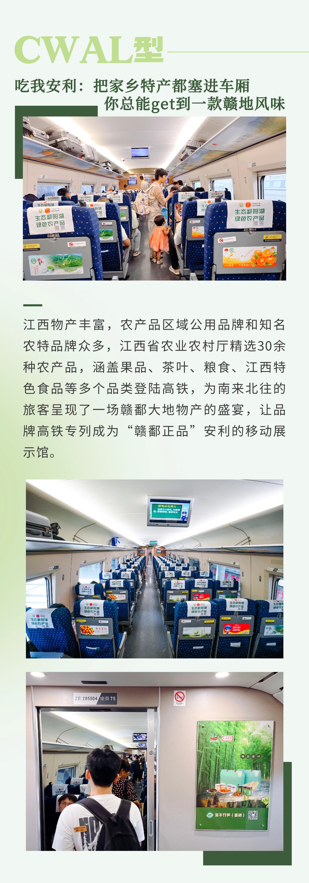 稿定设计-6.jpg